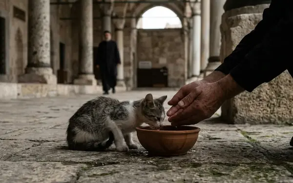Lessons from the Mercy of Prophet Muhammad